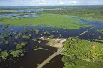 Aerial view of cattle farm isolated by the flood waters of the Mamore River, North of Trinidad city, capital of the Beni Department, 2008
