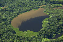 Aerial view of Amazon "várzea" rainforest of Mamoré River, during the great 2008 flood, to the North of Trinidad city, in the Beni Department, Eastern Bolivia.