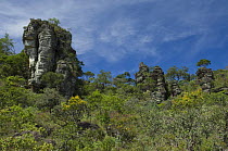 The "City of Stone", rock formations eroded by water, in the Cerrado, near the municipality of Pirenópolis, Goiás State, Central Brazil.