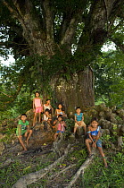 Children of Boca do Mamirauá village sitting under a {Lecythis pisonis} tree, Lake Mamirauá, Mamirauá Sustainable Development Reserve, municipality of Alavares, Amazonas State, Northern Brazil.