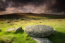 Hut circle remains and large circular granite slab, Merrivale, Dartmoor NP, Devon, UK. September 2008.