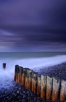 Weathered groyne, pebbles and stormy evening sky at Bossington beach, Exmoor National Park, Somerset, UK. October 2008.