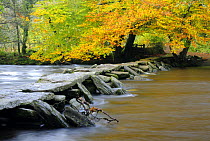 Tarr Steps Clapper Bridge and the River Barle, autumn, nr Withypool, Exmoor National Park, Somerset, UK. October 2008.