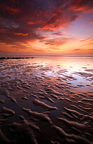 Sandymouth Bay beach at low tide at sunset, north Cornwall, UK. Novermber 22008.