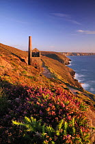 Towanroath Engine House from the old tin mines, Wheal Coates, near St Agnes, Cornwall, UK. July 2008.
