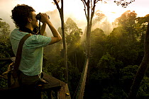 Birdwatcher on canopy walkway, Danum Valley, Sabah, Borneo, Malaysia