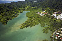 Aerial view of Golfito Bay with mangrove forest, Puntarenas, Costa Rica.