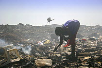 Gambian girl sifting for aluminium scrap, Mannjai Kunda rubbish dump, The Gambia, 2008