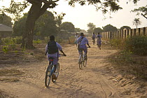 Gambian children cycling home from school along sand track, Lamin, The Gambia, 2008