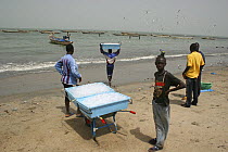 Gambian men waiting with ice box for fishing boats, Tanji, The Gambia, 2008