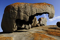 Eagle Rock, Remarkable Rock site, Flinders Chase National Park, Kangaroo Island, South Australia, Australia