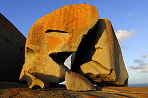 Remarkable Rock site, Flinders Chase National Park, Kangaroo Island, South Australia, Australia