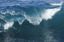 Strong wave breaking, Kangaroo Island, South Australia, Australia