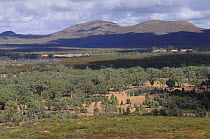 Wilpena Pound, Flinders Ranges National Park, South Australia, Australia