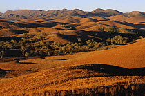 Flinders Ranges National Park at sunset, South Australia, Australia