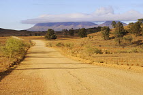 Road inside Flinders Ranges National Park, South Australia, Australia