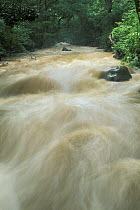 River in flood after rain, Rincon de la Vieja NP, Costa Rica