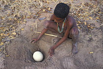 Young San Bushman storing water in buried ostrich egg, Bushmanland, Namibia