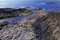 Basalt columns on coast of Isle of Mull, Inner Hebrides, Scotland, UK