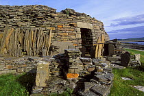 Iron age dry stone building, Broch of Midhowe, The Orkney Isles, Scotland, UK