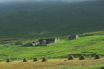 Harier farm on Foula Island, Shetland Islands, Scotland, UK