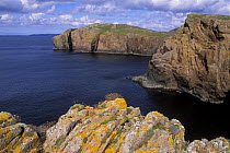 Red granite cliffs at South Ham, Muckle Roe peninsula, North Mainland, Shetland Islands, Scotland, UK