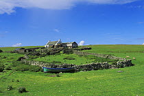 Traditional croft, Housa Voe, Papa Stour Island, Shetland Islands, Scotland, UK