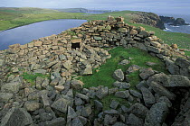 Ruined broch of Culswick, Mainland, Shetland Islands, Scotland, UK