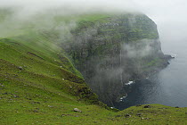 Fog on sea cliff, Eysturoy Island North, Faroe Islands, Denmark, North Atlantic