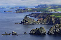South mainland view from sea cliffs of Fitful Head, Shetland Islands, Scotland, UK