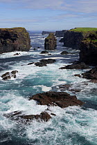 Sea cliffs of the Eshaness Peninsula, Mainland West, Shetland Islands, Scotland, UK