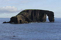 Dore Holm, Eshaness Peninsula, Mainland West, Shetland Islands, Scotland, UK