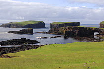 View of Papa Stour island, Shetland Islands, Scotland, UK