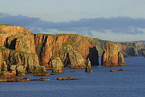 Harry's Pund, Eshaness Peninsula, Mainland West, Shetland Islands, Scotland, UK