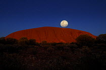 Uluru / Ayer's Rock at sunrise with almost full moon, Uluru / Kata Tjuta National Park, Northern Territory, Australia