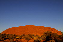 Uluru / Ayer's Rock at sunrise, Uluru / Kata Tjuta National Park, Northern Territory, Australia