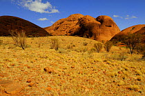 Kata Tjuta / Mount Olga, Uluru / Kata Tjuta National Park, Northern Territory, Australia
