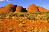 Kata Tjuta / Mount Olga, Uluru / Kata Tjuta National Park, Northern Territory, Australia