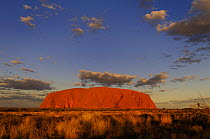 Uluru / Ayer's Rock at sunset, Uluru / Kata Tjuta National Park, Northern Territory, Australia
