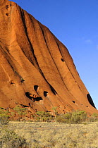 Rock detail of Uluru / Ayer's Rock at sunset, Uluru / Kata Tjuta National Park, Northern Territory, Australia