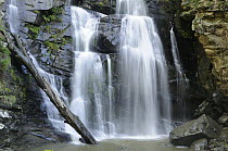 Stevenson Falls, Great Otway National Park, Victoria, Australia