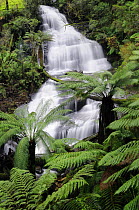 Triplet Falls on Aire River, Great Otway National Park, Victoria, Australia