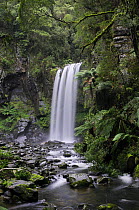 Hopetoun Falls on Aire River, Great Otway National Park, Victoria, Australia
