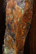 Stanley Chasm, a narrow cleft of 80m height, MacDonnell Ranges Northern Territory, Australia