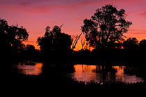 Yellow Water at sunset, South Alligator River floodplain, Kakadu National Park, Northern Territory, Australia