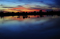 Yellow Water at sunset, South Alligator River floodplain, Kakadu National Park, Northern Territory, Australia
