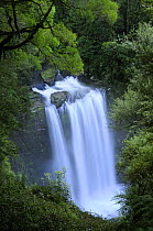 Hopetown Falls on Aire River, Great Otway National Park, Victoria, Australia