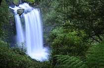 Hopetown Falls on Aire River, Great Otway National Park, Victoria, Australia