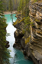 Athabasca river flowing through deep canyon, Jasper, Rocky Mountains NP, Alberta, Canada