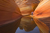 Man standing over water in The Wave, Staircase-Escalante National Monument, Utah, USA